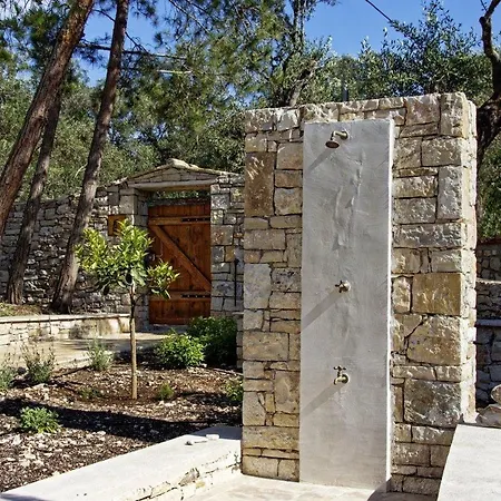 Dodo Darling * Oziás